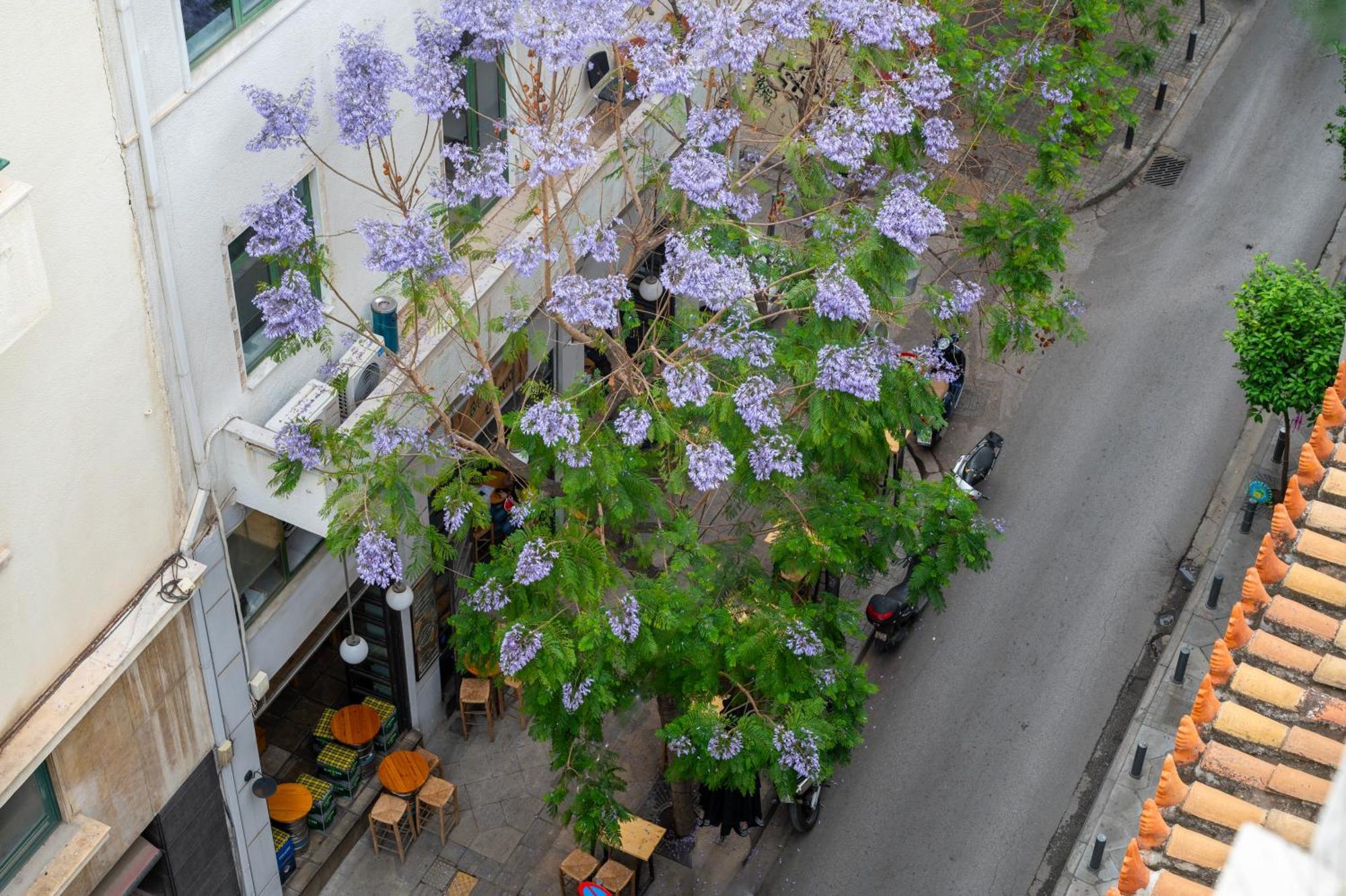 Hestia - Kolokotroni 23 Otel Atina Dış mekan fotoğraf